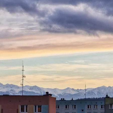 Na Wynajem * 노비 타르그