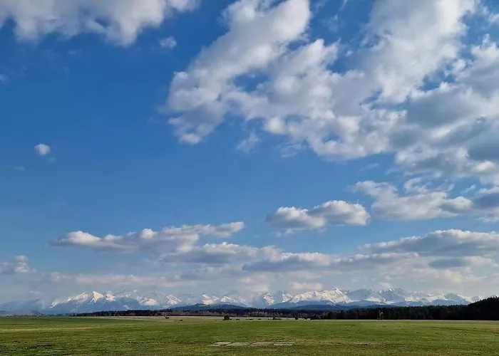 Na Wynajem Appartamento *